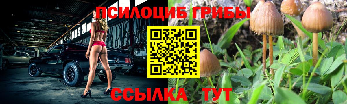 Галлюциногенные грибы мухоморы  Вход с VPN  Галлюциногенные грибы Psilocybe  Кимры 